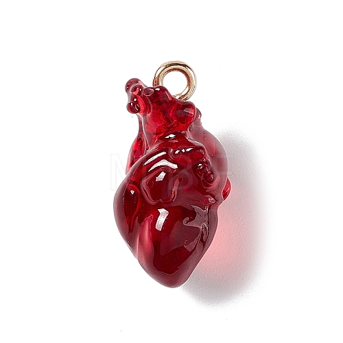 Transparent Resin Pendants RESI-E028-01G-01-1