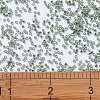MIYUKI Delica Beads SEED-MY11-DB2165-4