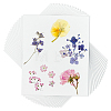 Dried Embossed Paper DIY-WH0622-646B-1