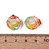 3D Lampwork & Brass Core European Beads LAMP-Q042-01D-3