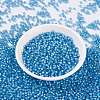 MIYUKI Round Rocailles Beads X-SEED-G008-RR0573-3