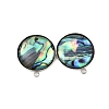 304 Stainless Steel Pave Natural Paua Shell Stud Earring Findings STAS-Z125-09P-1