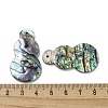 Natural Paua Shell Pendants Geometric Charms SSHEL-N038-01C-3