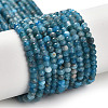 Natural Apatite Beads Strands G-G155-A01-01-1