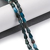 Natural Apatite Beads Strands G-C080-B06-01A-2