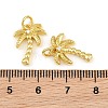 Brass Micro Pave Clear Cubic Zirconia Charms KK-CBA6A75-38G-3