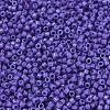 MIYUKI Delica Beads SEED-X0054-DB2359-3