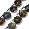 Natural Labradorite Beads Strands G-C292-A09-01-1