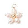 Natural Cultured Freshwater Pearl Pendants PALLOY-JF02024-1