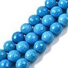 Natural Magnesite Beads Strands G-P598-E-10mm-02-2