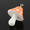 Resin Pendants LS-RESI-S295-06-2