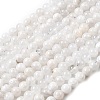 Natural Rainbow Moonstone Beads Strands X-G-D340-A01-6mm-2