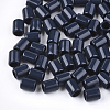 Acrylic European Beads SACR-T344-02B-1