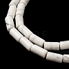 Natural Howlite Beads Strands G-B091-A17-01-4