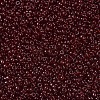 MIYUKI Round Rocailles Beads SEED-JP0008-RR2410-3