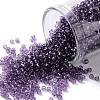 TOHO Round Seed Beads SEED-JPTR11-0019-1
