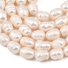 Natural Cultured Freshwater Pearl Beads Strands PEAR-F020-24A-4