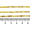 Transparent Glass Beads Strands GLAA-H027-01H-5