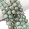 Natural Amazonite Beads Strands G-F461-12-8mm-01B-1