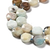 Natural Flower Amazonite Beads Strands G-NH0004-044-4