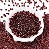 6/0 Baking Paint Transparent Fringe Glass Seed Beads X1-SEED-N006-06D-2