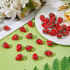 30Pcs Lampwork Beads LAMP-DC0001-26-4