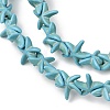 Synthetic Turquoise Dyed Beads Strands G-B184-C02-02-3