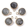Natural Labradorite Pendants X-G-T131-101A-1