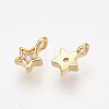 Brass Charms KK-T038-554G-NF-2