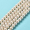 Shell Pearl Bead Strands BSHE-L025-08-6mm-01-2