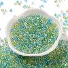 Glass Seed Beads SEED-L011-05B-02-2