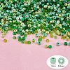 8/0 Round Glass Seed Beads SEED-PH0006-3mm-07-3