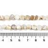 Natural Freshwater Shell  Beads Strands BSHE-H109-11-5