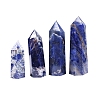 Point Tower Natural Sodalite Home Display Decoration PW-WG54681-01-4