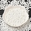 6/0 Glass Seed Beads X1-SEED-M012-01A-16-2