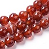 Natural Agate Beads Strands G-I261-B01-10mm-1