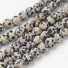 Natural Dalmatian Jasper Bead Strands G-G735-68F-8mm-1