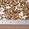 MIYUKI Delica Beads X-SEED-J020-DB1703-4