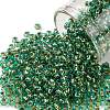 TOHO Round Seed Beads SEED-XTR08-0755-1