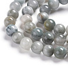 Natural Eagle Eye Beads Strands G-I281-02-6mm-1