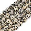 Natural Dalmatian Jasper Beads Strands GG-CBA787B-A11-2