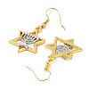 Alloy Dangle Earrings EJEW-Q802-04-2