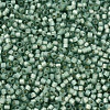 MIYUKI Delica Beads SEED-J020-DB2190-3