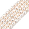 Natural Cultured Freshwater Pearl Beads Strands PEAR-I007-01D-07A-2