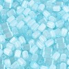 Drawbench Style Glass Seed Beads SEED-N008-10F-3