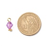Transparent Acrylic Pendants PALLOY-JF01834-04-3