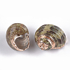 Electroplate Spiral Shell Pendants SSHEL-T006-18-2