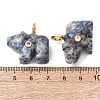 Natural Blue Spot Jasper Carved Pendants G-H357-02G-08-3