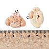 Opaque Resin Pendants RESI-I352-03P-3