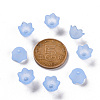 Transparent Acrylic Beads Caps PL543-5-3